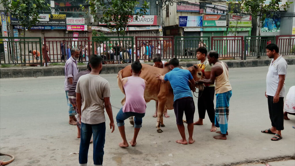 ঈদের দ্বিতীয় দিনেও চলছে পশু কোরবানি