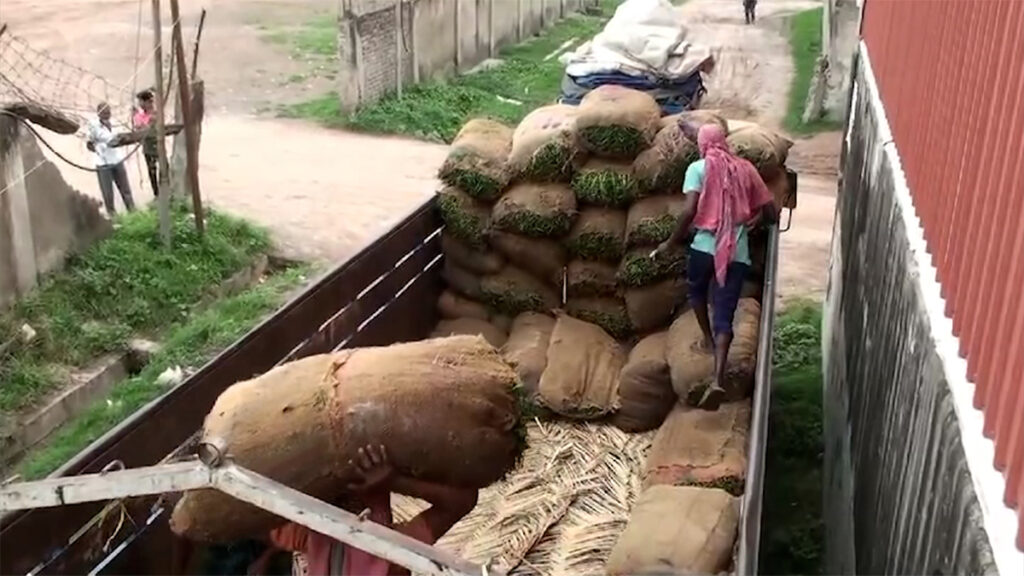 বেড়েছে আমদানি: সাত দিনে হিলি বন্দর পার হয়েছে ২৮৬ টন কাঁচামরিচ