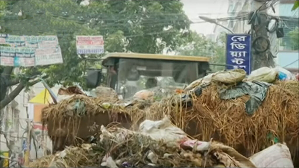 বেশকিছু এলাকায় এখনও কোরবানির বর্জ্য