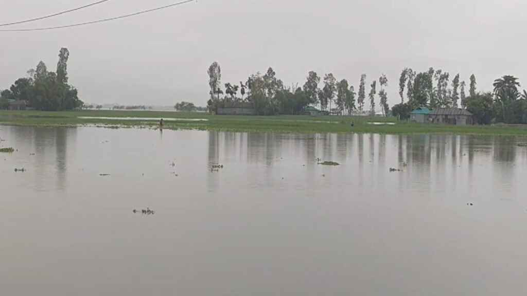 টানা বৃষ্টিতে বিপৎসীমার কাছাকাছি তিস্তার পানি; চরের নিম্নাঞ্চল প্লাবিত