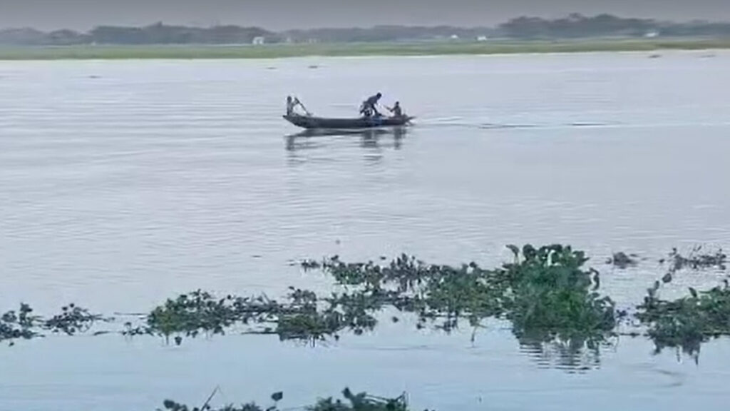 তেঁতুলিয়া নদীতে ইলিশ শিকারের মহোৎসব, নির্বিকার মৎস্য বিভাগ