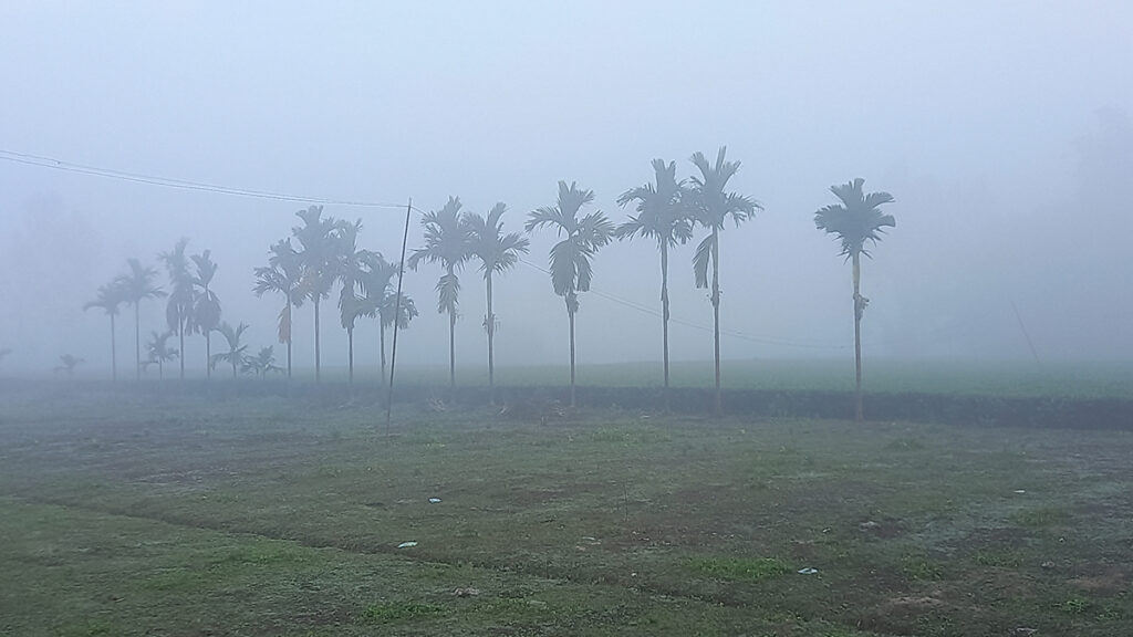 উত্তর জনপদে জেঁকে বসছে শীত, তেঁতুলিয়ায় তাপমাত্রা নামলো ১৩ দশমিক ৩ ডিগ্রিতে